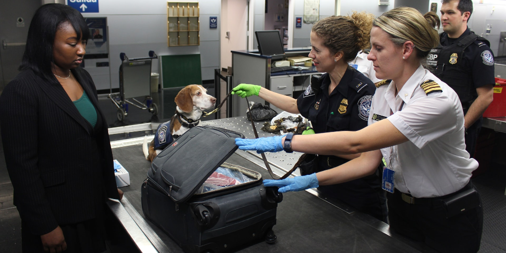 People pass through airport security before their flight.