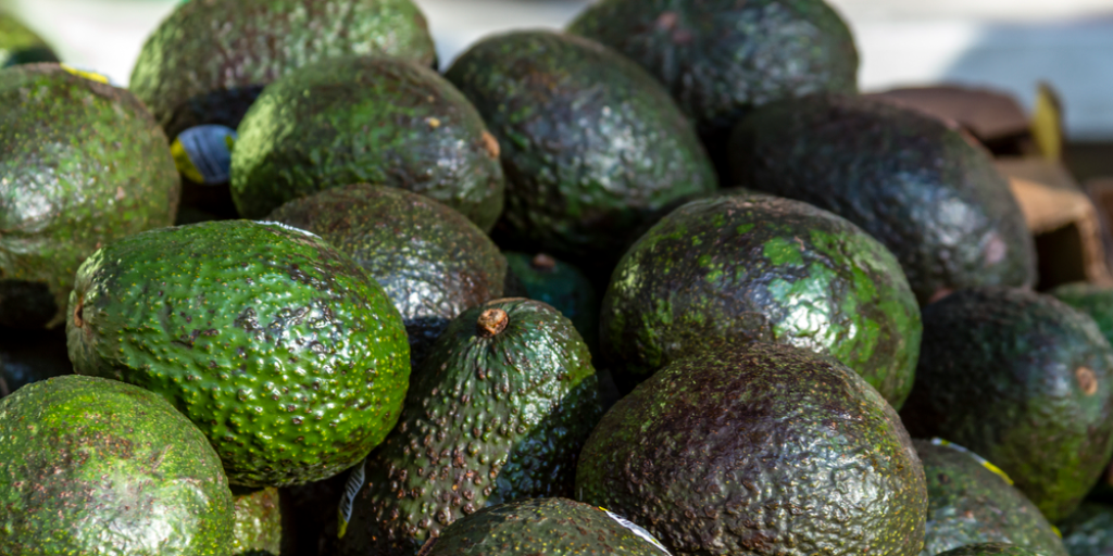 Avocados for sale