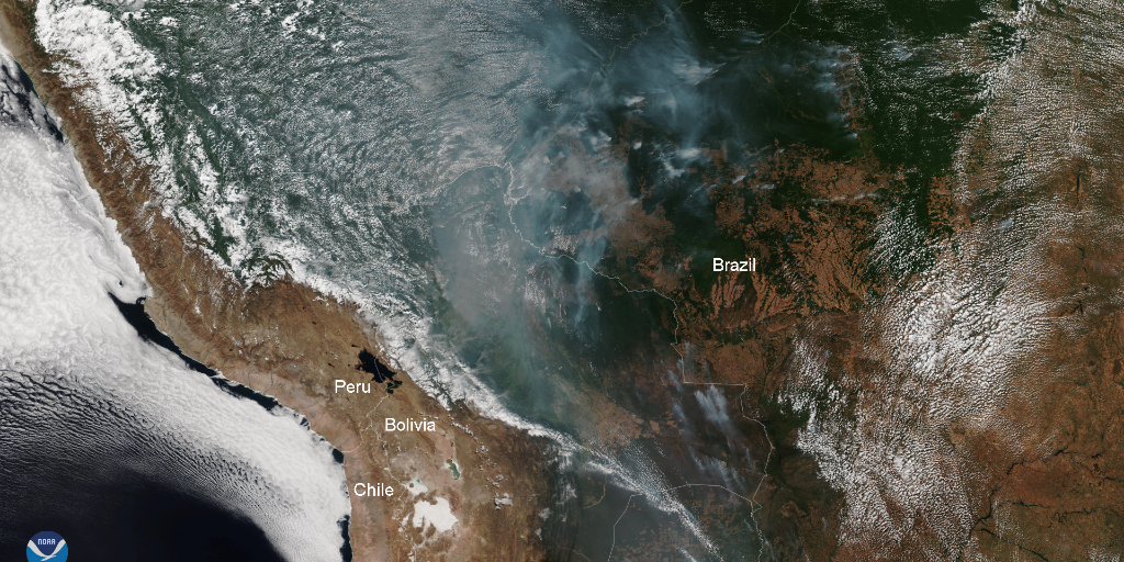 An aerial view of the Earth showing areas damaged by wildfires