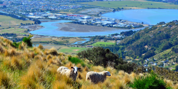 A view of Christchurch